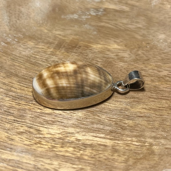 Seashell 925 Sterling Silver Pendant - Picture 7 of 13
